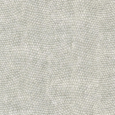 2N21-97.jpg