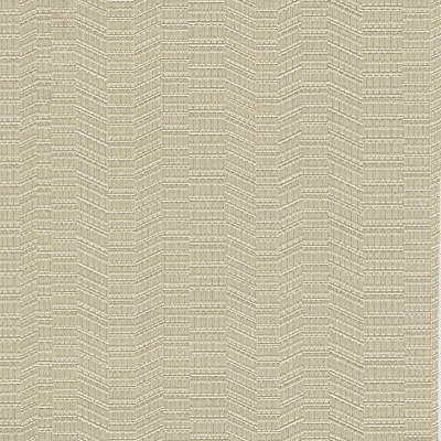mdn1-02_1.jpg