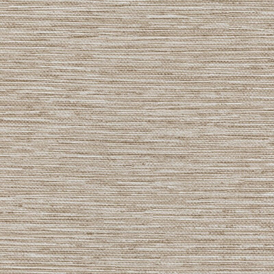 INTERLOOM_CHARMED(NM21-06).jpg
