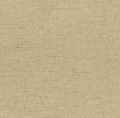 insight_champagne(6322-52).jpg