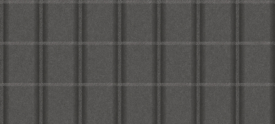 TATTERSALL-PLAID_SOHO(TP21-09).jpg