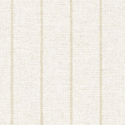 LINSEY-STRIPE_LOOM-STRIPE(SI21-01)02.jpg